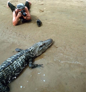 ...who want to experience something new: photo session with black caiman