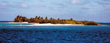 National parc island: Petit Tabac, pearl of the Tobago Cays, is strictly protected.