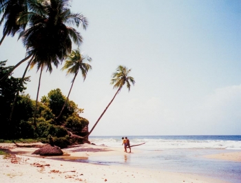 Blanchisseuse: situated on the north coast facing the Caribbean Sea. The beach stretches between the sea and a clear freshwater lagoon.