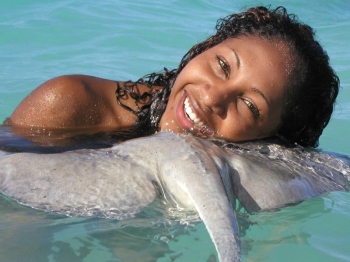 Cuddly toys: swimming with rays in Antigua
