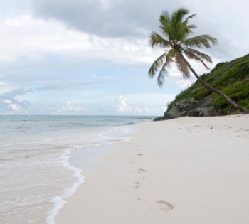 Every day another picture book beach: the Tobago Cays Every day another picture book beach: the Tobago Cays