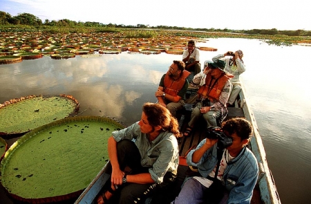 Karanambu Lodge: bird watching next to Amazon water lillies