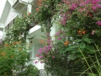 Blumen an der Fassade