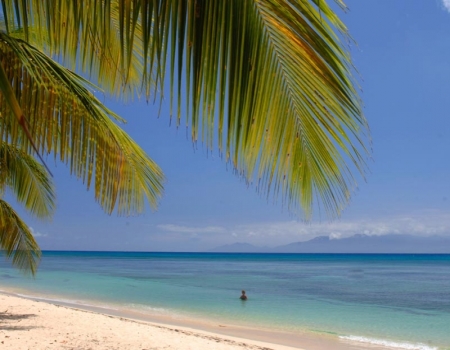 Palm trees, beach and sea in front of the hotel