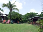 Der Garten