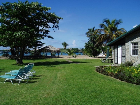 Garden and outdoor view