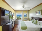 (example) large bedroom