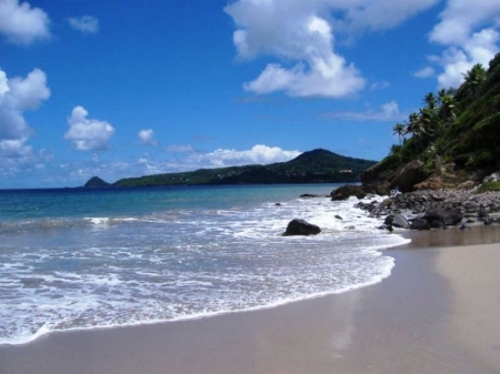 Fine boutique hotel: palm lined beach in front of the hotel