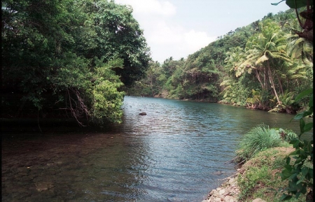 River along the premises for swimming and kayaking.