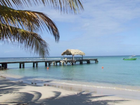 Tobago: Pigeon Point Beach