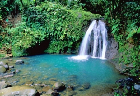 Basse Terre: Waterfall