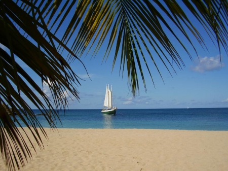 Heading for a picture book beach in the Grenadines